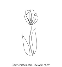 Tulip vector illustration. Doodle style. Design, print, decor, textile. One tulip made from black line. Isolated on white. Sketch of spring flower. Simle line drawing.