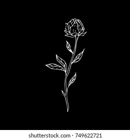 Tulip vector illustration. Doodle style. Design, print, logo, decor, textile, paper.