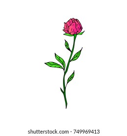 Tulip vector illustration. Doodle style. Design, print, logo, decor, textile, paper.