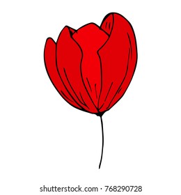 Tulip vector illustration. Doodle style. Design, print, decor, textile, paper