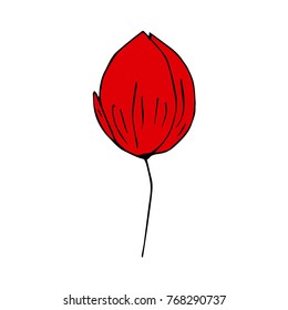 Tulip vector illustration. Doodle style. Design, print, decor, textile, paper