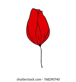 Tulip vector illustration. Doodle style. Design, print, decor, textile, paper