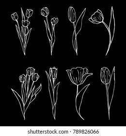 Tulip vector illustration. Doodle style. Design, print, decor, textile, paper