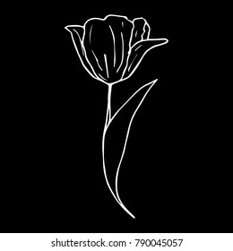 Tulip vector illustration. Doodle style. Design, print, decor, textile, paper