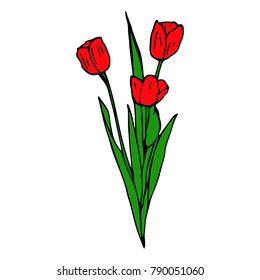 Tulip vector illustration. Doodle style. Design, print, decor, textile, paper