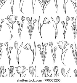 Tulip vector illustration. Doodle style. Design, print, decor, textile, paper
