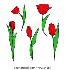 Tulip vector illustration. Doodle style. Design, print, decor, textile, paper