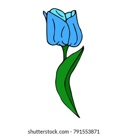Tulip vector illustration. Doodle style. Design, print, decor, textile, paper