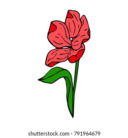 Tulip vector illustration. Doodle style. Design, print, logo, decor, textile, paper.