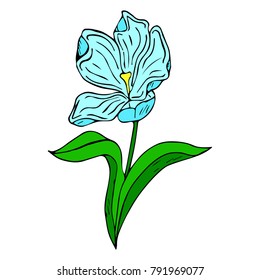 Tulip vector illustration. Doodle style. Design, print, logo, decor, textile, paper.
