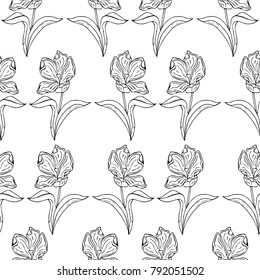Tulip vector illustration. Doodle style. Design, print, logo, decor, textile, paper.