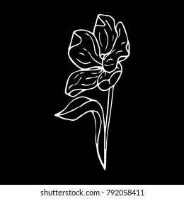 Tulip vector illustration. Doodle style. Design, print, logo, decor, textile, paper.
