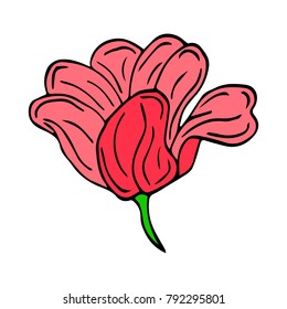 Tulip vector illustration. Doodle style. Design, print, logo, decor, textile, paper.