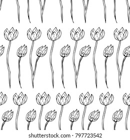 Tulip vector illustration. Doodle style. Design, print, logo, decor, textile, paper.