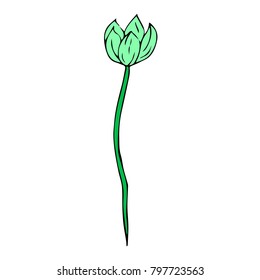 Tulip vector illustration. Doodle style. Design, print, logo, decor, textile, paper.