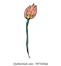 Tulip vector illustration. Doodle style. Design, print, logo, decor, textile, paper.