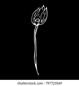 Tulip vector illustration. Doodle style. Design, print, logo, decor, textile, paper.