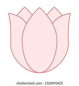 Tulip vector illustration. Flower vector illustration.