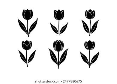 Tulip Vector illustration silhouette image icon