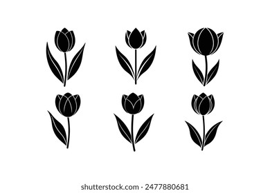 Tulpe Vektorillustration Silhouette Bild Symbol