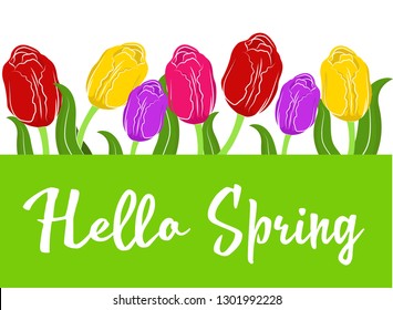 
tulip vector illustration. text hello spring