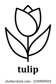 Icono lineal del vector Tulip. Línea de pétalos de flores de tulipán y rama con hojas. Ilustración simple mínima de estilo lineal para el concepto móvil, diseño web y más. Gráficos vectoriales perfectos para píxeles.