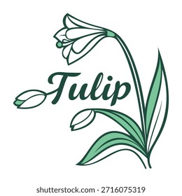 Tulip Vector Logo Design Template