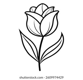 Tulip Vector on White Background