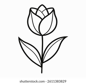 Tulip Vector on White Background