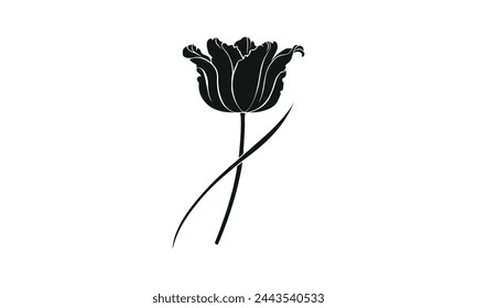 Tulip vector silhouette white background