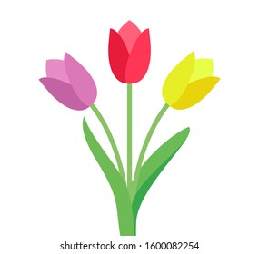 Tulip vector. Tulips. Flat icon of tulip. 8 March. Women`s day. Vector illustration.