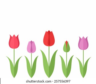 Tulip vintage style. Icon set. Isolated tulips on white background. Bright flowers sign. Vector illustration EPS10