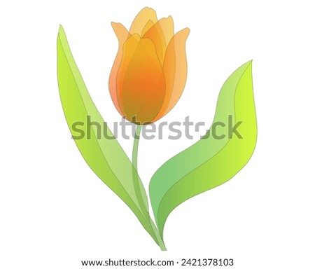 Tulip in watercolor transparent art
Vector illustration isolated on white blank background 
