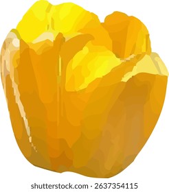 tulip yellow and blooming  design6