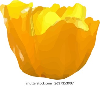 tulip yellow and blooming  design7