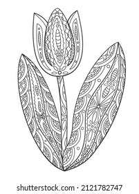 Tulip Zentangle coloring book outline. Beautiful blooming flower ornate contour with curve tiny lace pattern for adult anti stress meditative art. Tattoo, symbol, design element. 