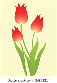 Tulips