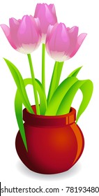 Tulips