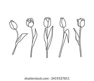 Tulips, black and white vector illustration. Coloring.
