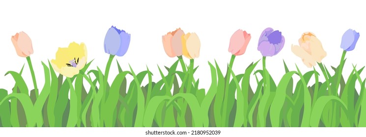 Tulips Border Grass Isolated Vector Stock Vector (Royalty Free ...