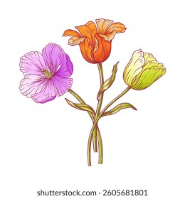 Tulips bouquet, bunch of bright colorful dutch flowers. Beautiful spring blooms for Easter, Mother Day or Canadian Tulip Festival decor. Hand drawn elegant elements. Vector illustration for design