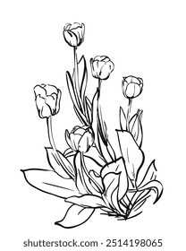 Tulips bouquet hand drawn illustration, Growing bunch of tulip flowers, Vector sketch with black lines on white background