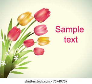 Tulips bouquet.Vector