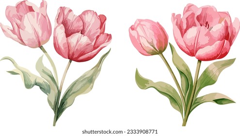 Tulips clipart, isolated vector illustration.