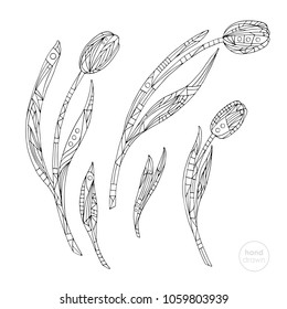 Tulips coloring page. Hand drawn abstract flowers vector illustration. Nature background in modern style.