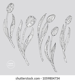 Tulips coloring page. Hand drawn abstract flowers vector illustration. Nature floral background in modern style.