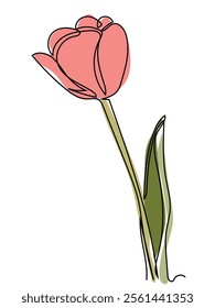 Tulips in continuous line art style and can be edited later