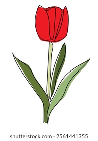 Tulips in continuous line art style and can be edited later