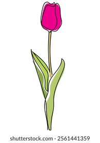 Tulips in continuous line art style and can be edited later