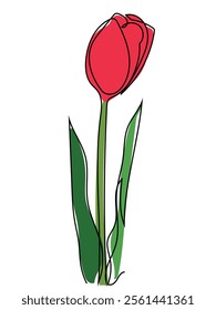 Tulips in continuous line art style and can be edited later